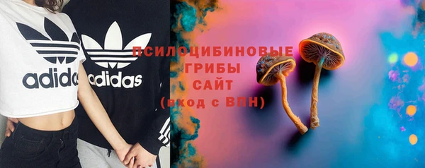 молекула духа Беломорск