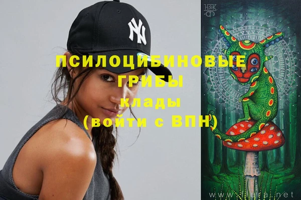 стаф Белоозёрский
