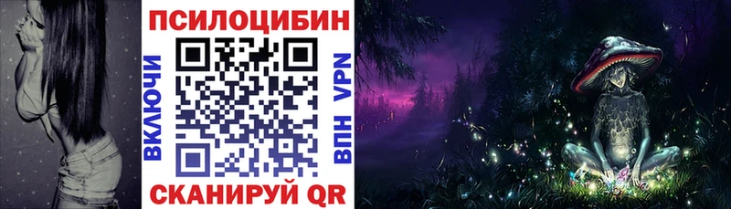 Галлюциногенные грибы Psilocybe  где можно купить   Светлый 